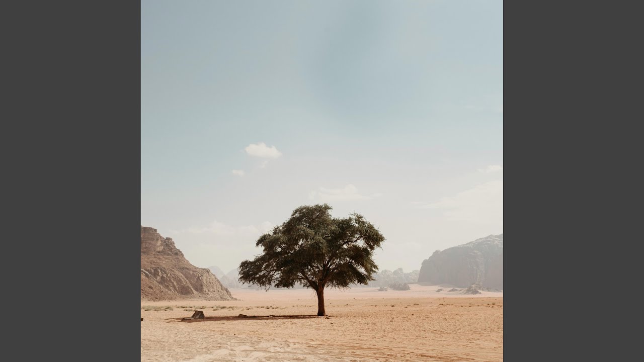 Desert Bloom (Original Mix)