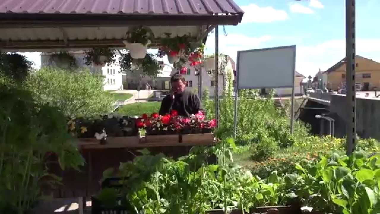 Filma par Krāslavu (2014. gads)