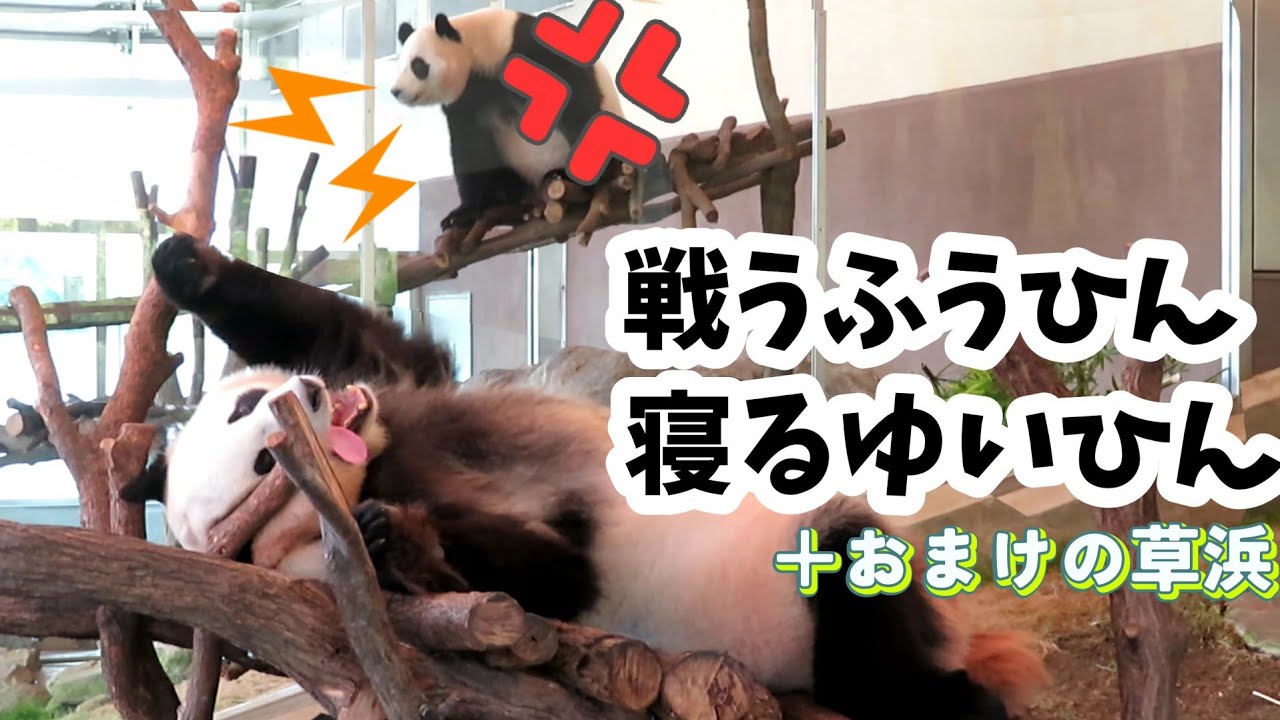 戦うふうひん寝るゆいひん　同僚と休憩中の草浜