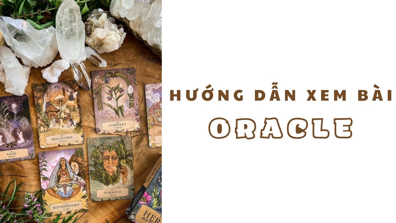 Hướng dẫn xem b&agrave;i Oracle cho người mới.