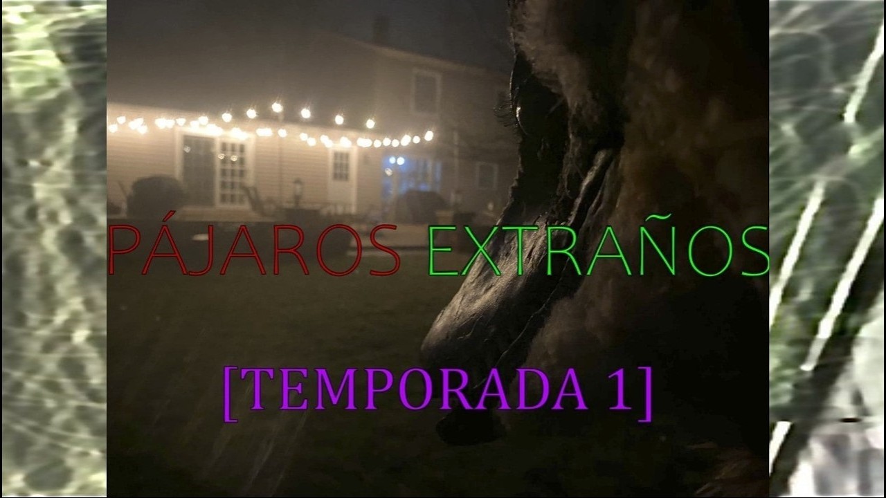 P&aacute;jaros Extra&ntilde;os - Temporada 1 | La Historia del Superviviente Ripense. [Weird Birds]