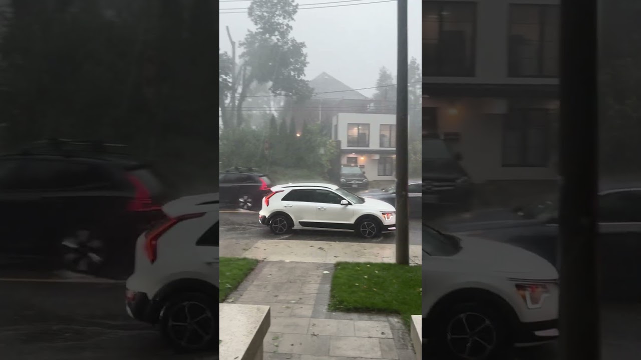 Video captures severe flooding, fallen trees after major GTA storm