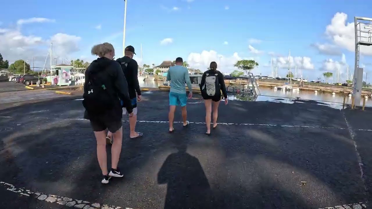 Oahu Shark Dive