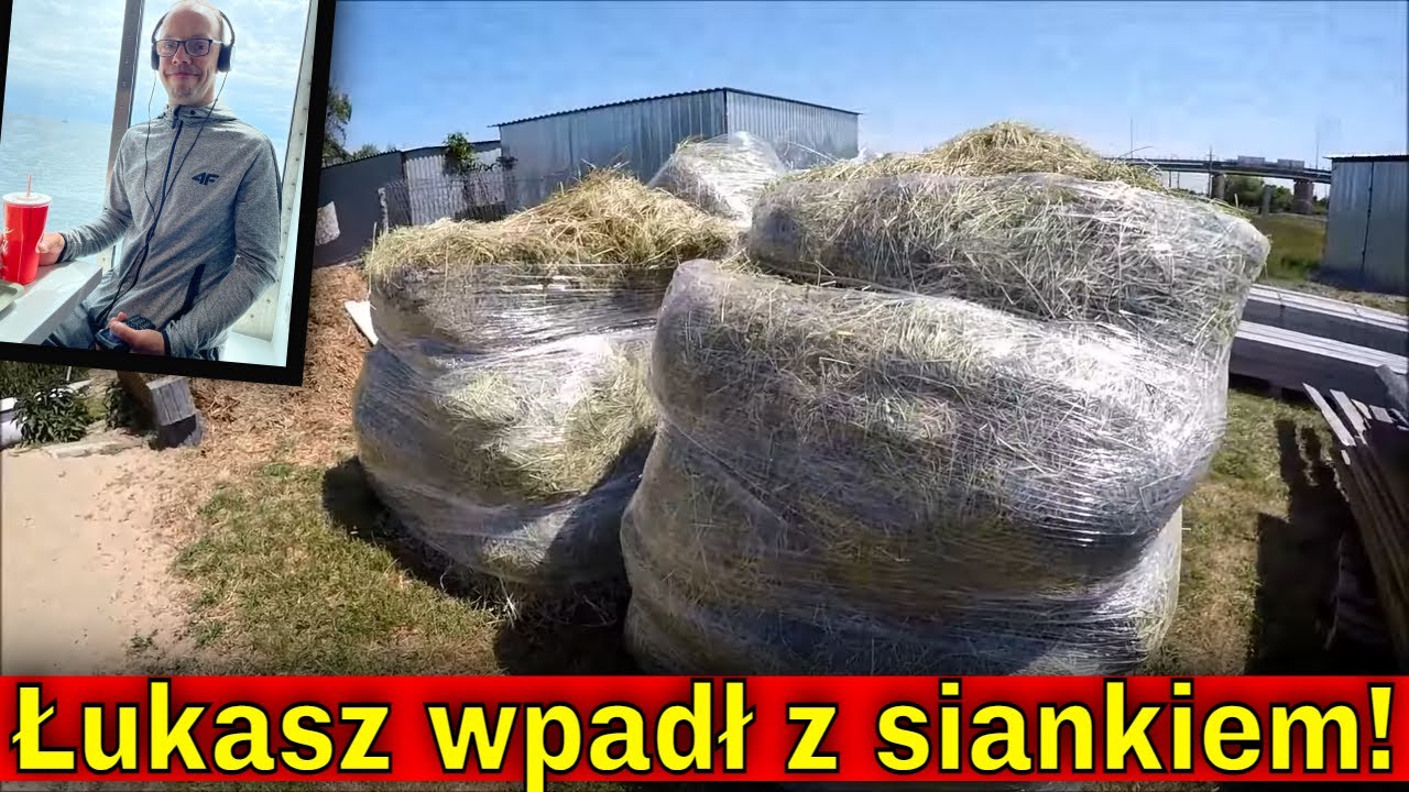 Farmer Łukasz przywiózł siano dla zwierząt! | Drugi rzut brojlerów. Kupiłem pisklęta.