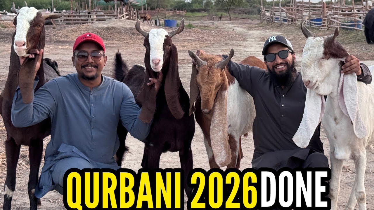 Ali Goat Land Ka Finally Visit Ho He Gaya || 2026 Ka Collection || Available For Sale