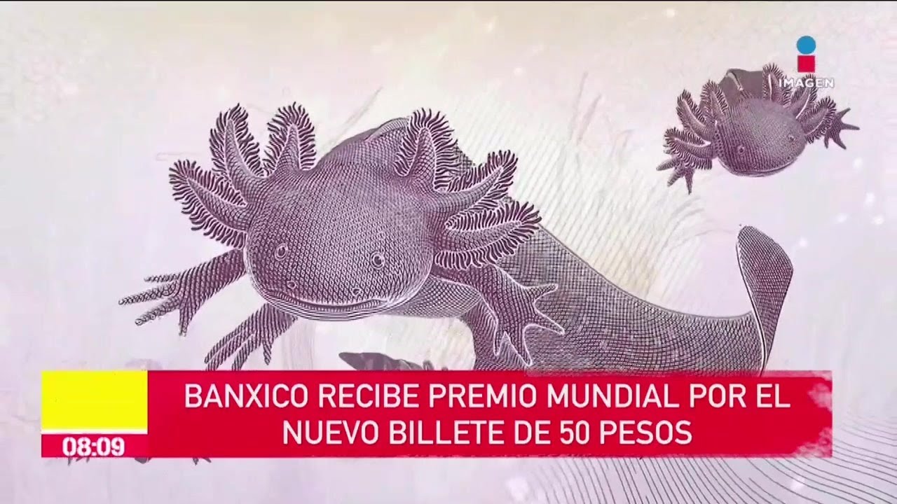 Billete del ajolote triunfa en premios internacionales, Banxico recibe premio mundial | DPC
