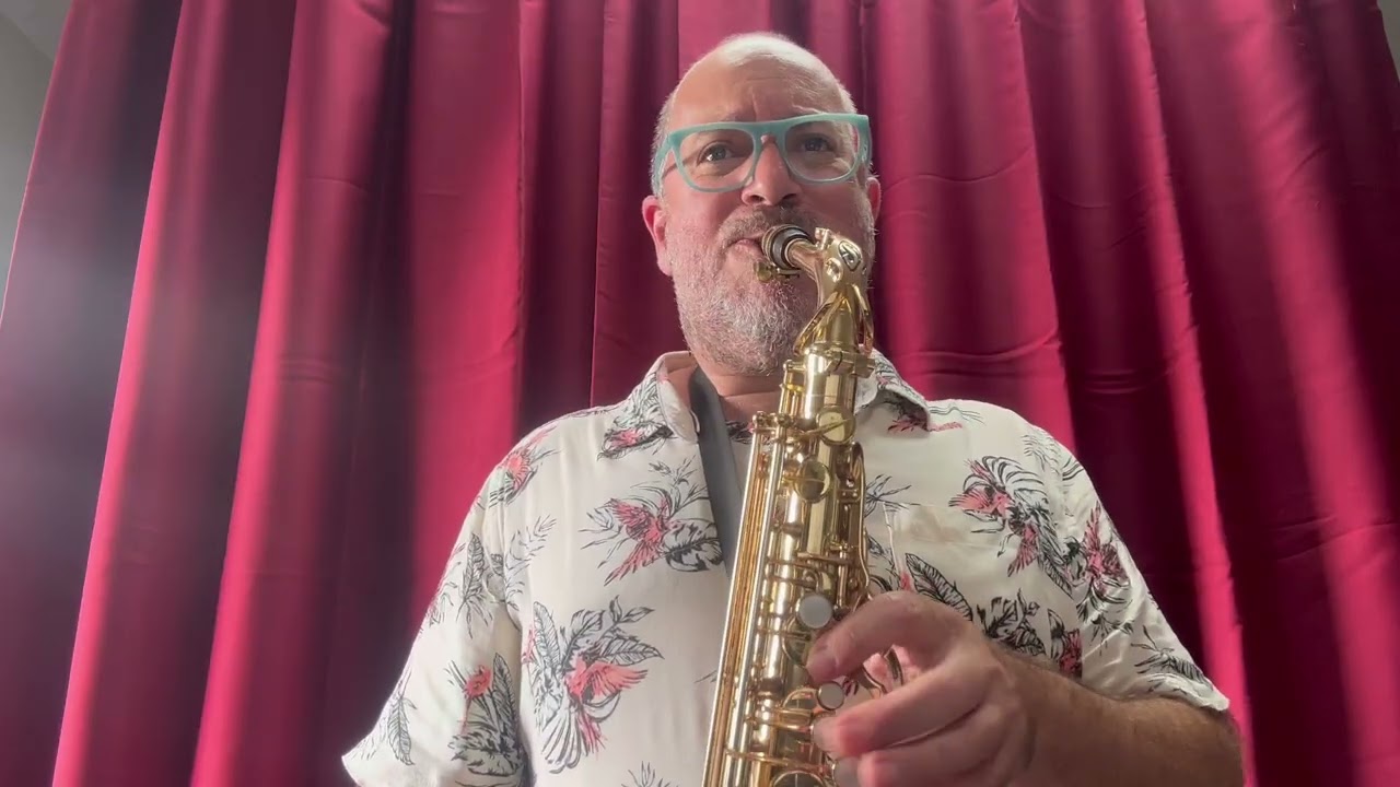 1977 Selmer Mark VII Alto Saxophone 270k original lacquer 2ND WINDS AUSTRALIA 