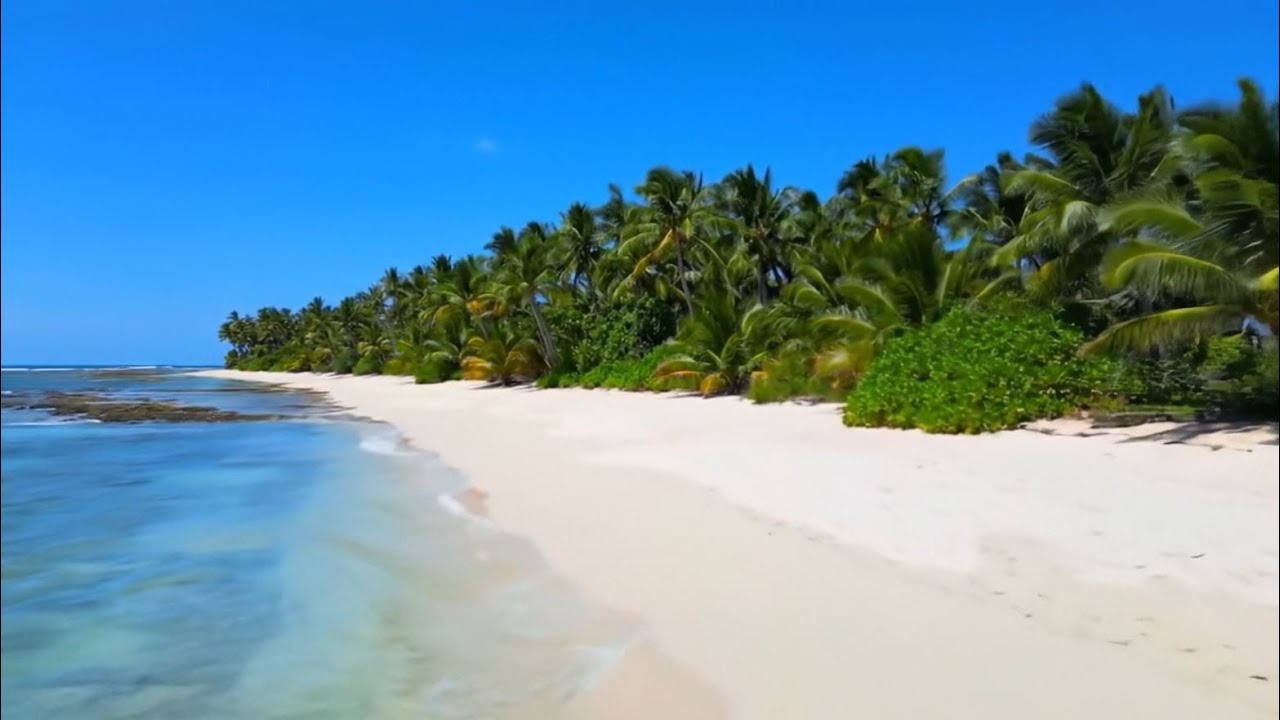 🌊 432Hz Ocean Relaxation | Classical Music for Deep Healing Calm
