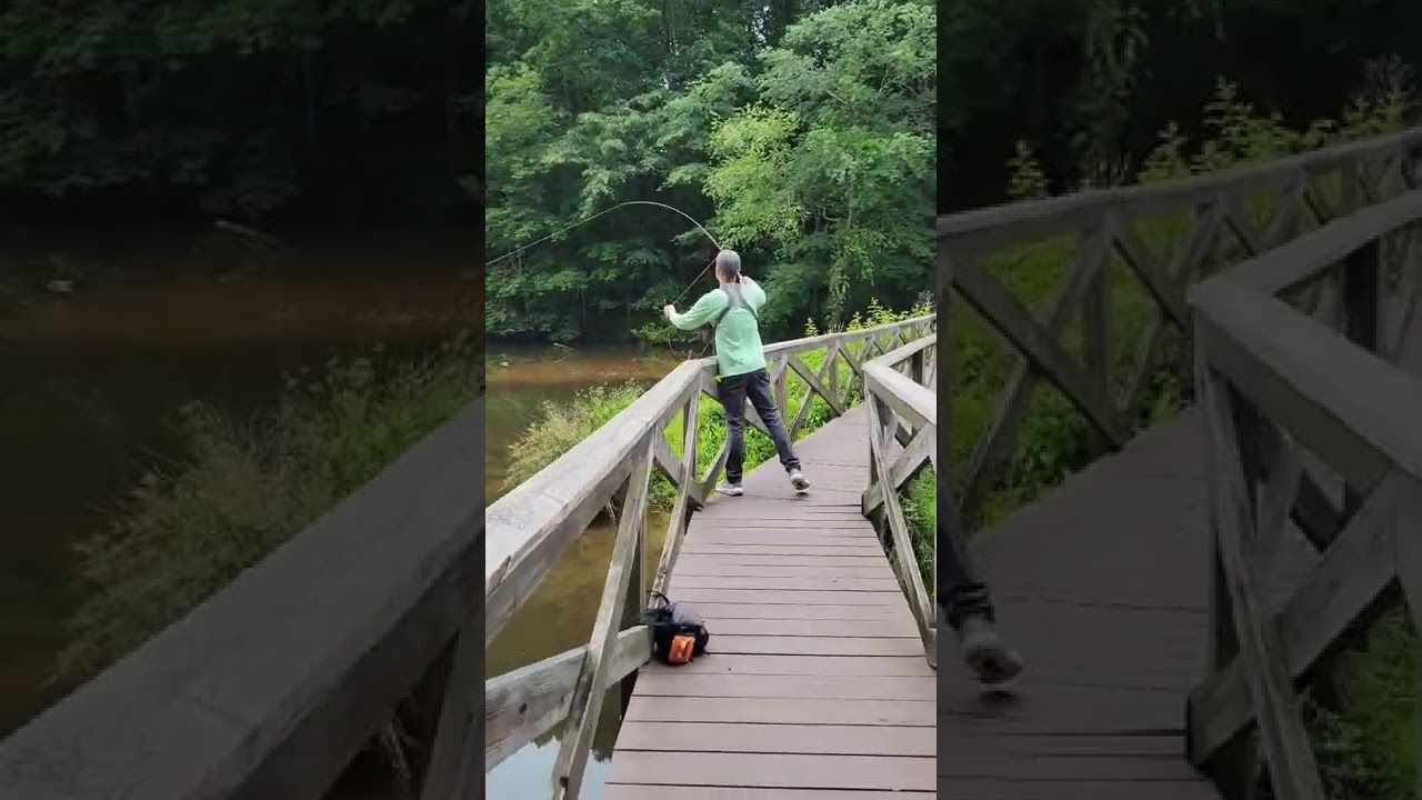 How to Cast a Fly Rod like a Pro #shorts #fishing #flyfishing