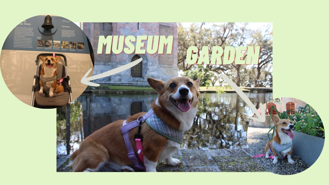 PENNY GOES TO BOK TOWER MUSEUM AND GARDEN!!
