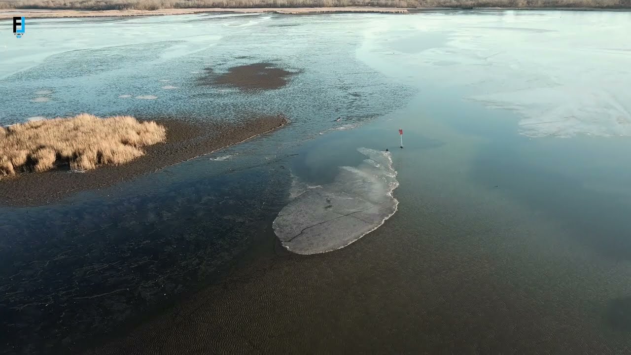 Dühös lapos  Tiszavalki-medence   Tisza - tó 2022
