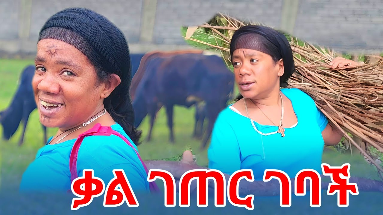 ቃል ተቀጣች ገጠር ገባች 