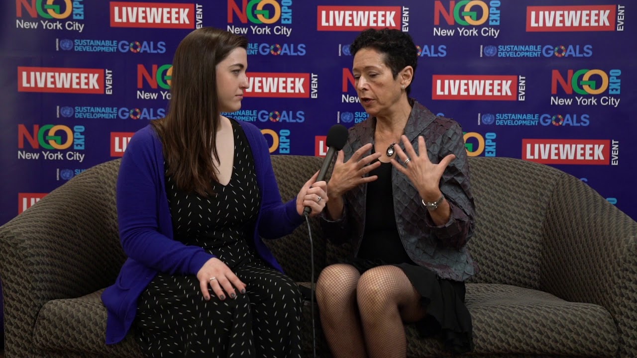 Vivien Hoexter, H2Growth Strategies LLC at NGO Expo 2018 in New York