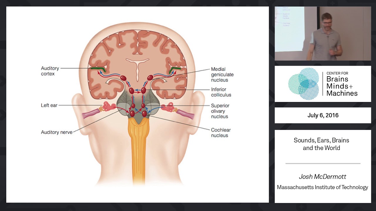 Sound, Ears, Brains and the World