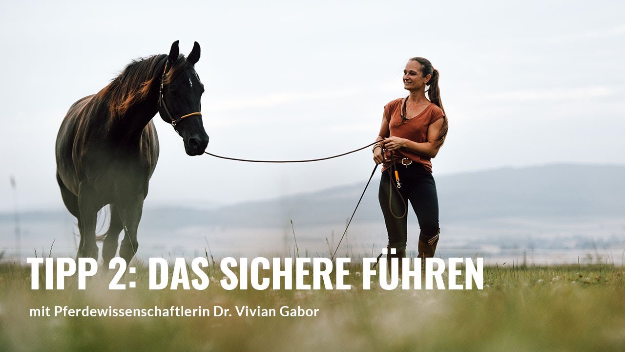 TIPP 2 🐴 Das sichere Führen deines Pferdes  👉 mit Pferdeexpertin Dr. Vivian Gabor