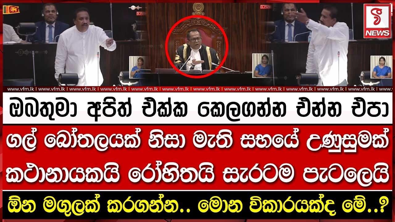 ගල් බෝතලයක් නිසා මැති සභයේ උණු#සුමක්.. කථානායකයි රෝහිතයි සැර#ටම පැටලෙයි.