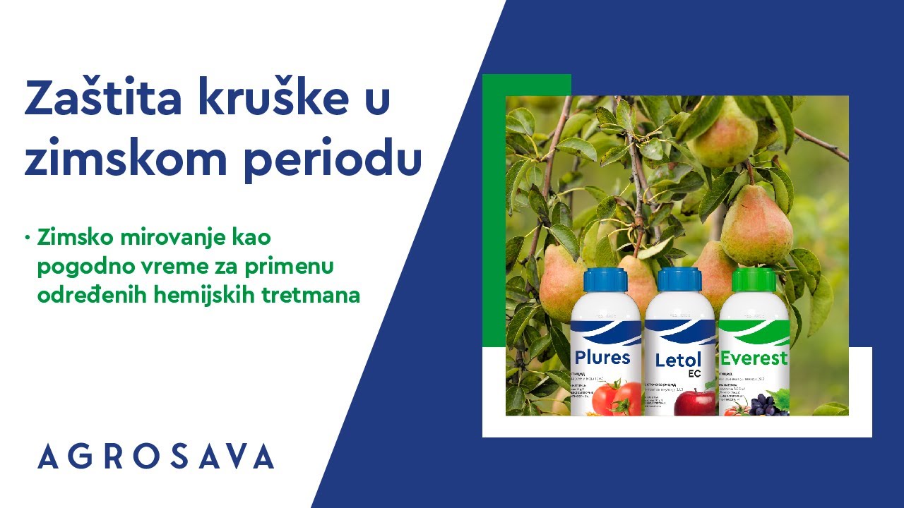 Zaštita kruške u zimskom periodu (Plures, Letol EC, Everest)