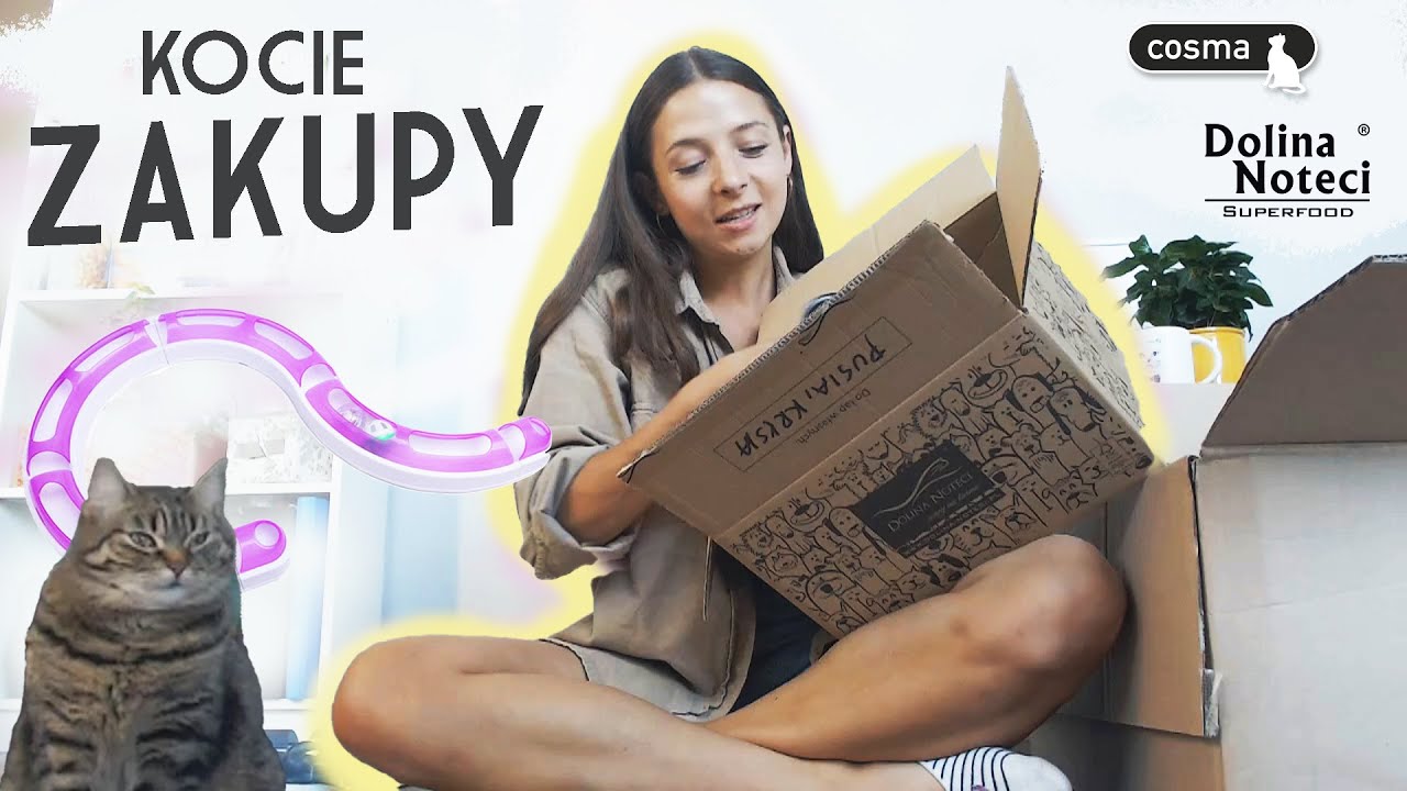 Unboxing pod okiem kota: drapak, puszki, zabawki 🐾 *Zooplus i Dolina Noteci*