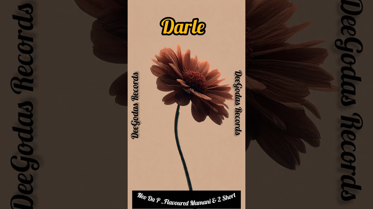 Darle _Neo Da P_ Flavoured mamani & 2 Short