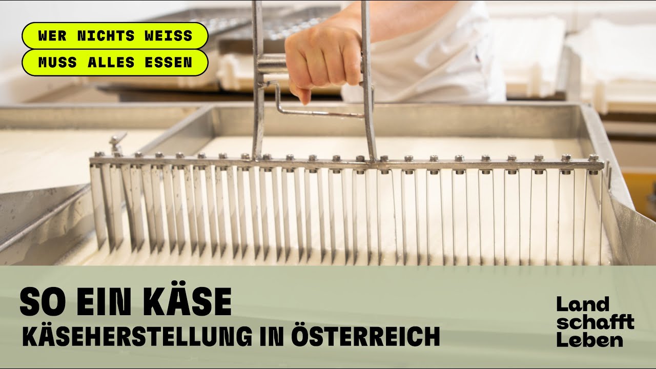 So ein Käse – Käseherstellung in Österreich