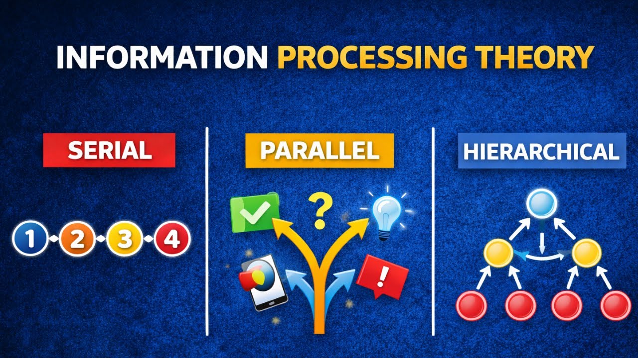Information Processing Theory Explained | How the Brain Learns, Remembers & Thinks