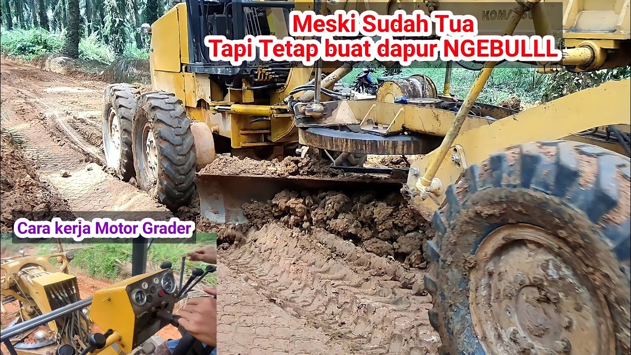 Cara kerja  Operator Motor Grader saat perbaikan jalan di perkebunan sawit