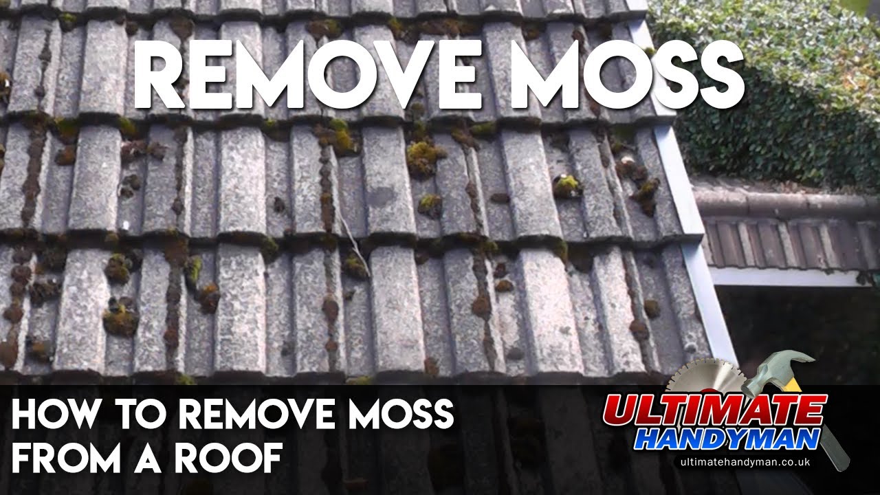 How to remove moss from a roof
