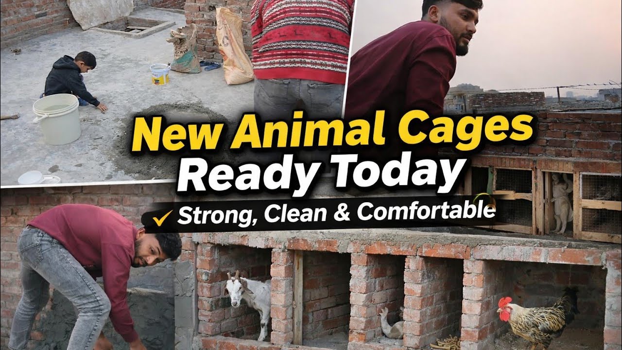 👉 How We Built New Cages for Animals | Farm Life