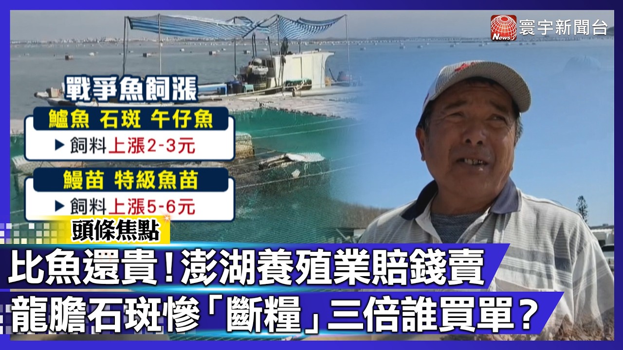 戰火燒到澎湖！石斑魚驚傳「斷糧」 飼料飆漲3倍 比魚還貴！漁民哀號：養不起｜#寰宇新聞