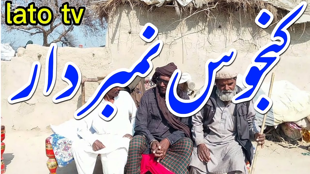 کنجوس نمبردار 