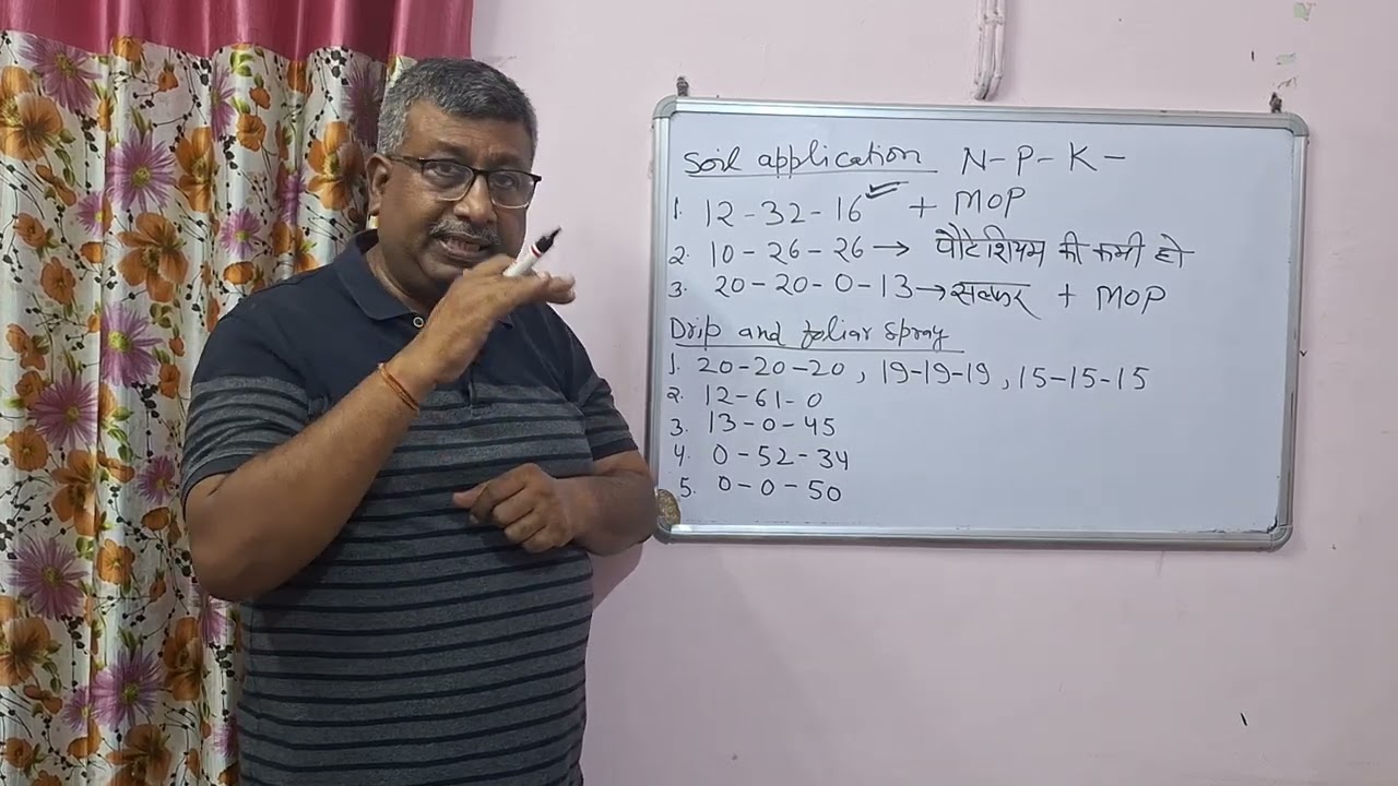 कोन सा NPK उर्वरक किस Condition में दें।  Best NPK fertilizer