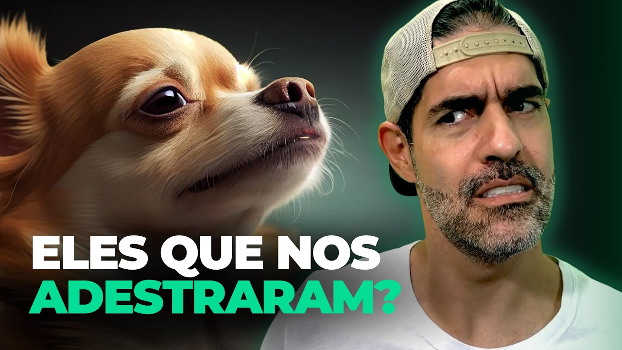 Como os CÃES viraram NOSSOS MELHORES AMIGOS?