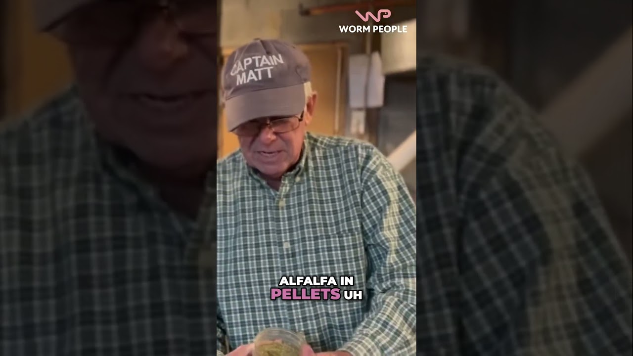Откармливайте червей БЫСТРО: