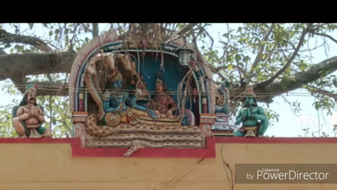 Mayan songs
