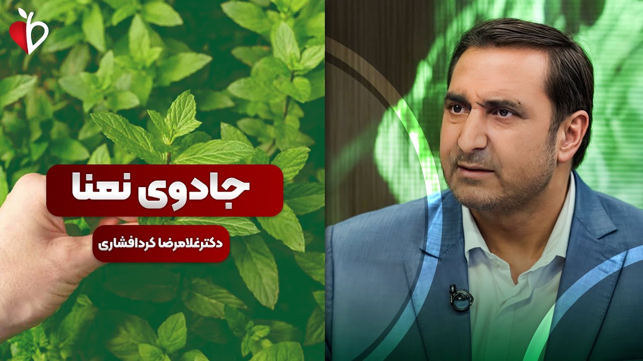 خواص شگفت‌ انگیز نعنا از درمان نفخ تا ضد سرطان 🌿🍃 | برنامه طبیب