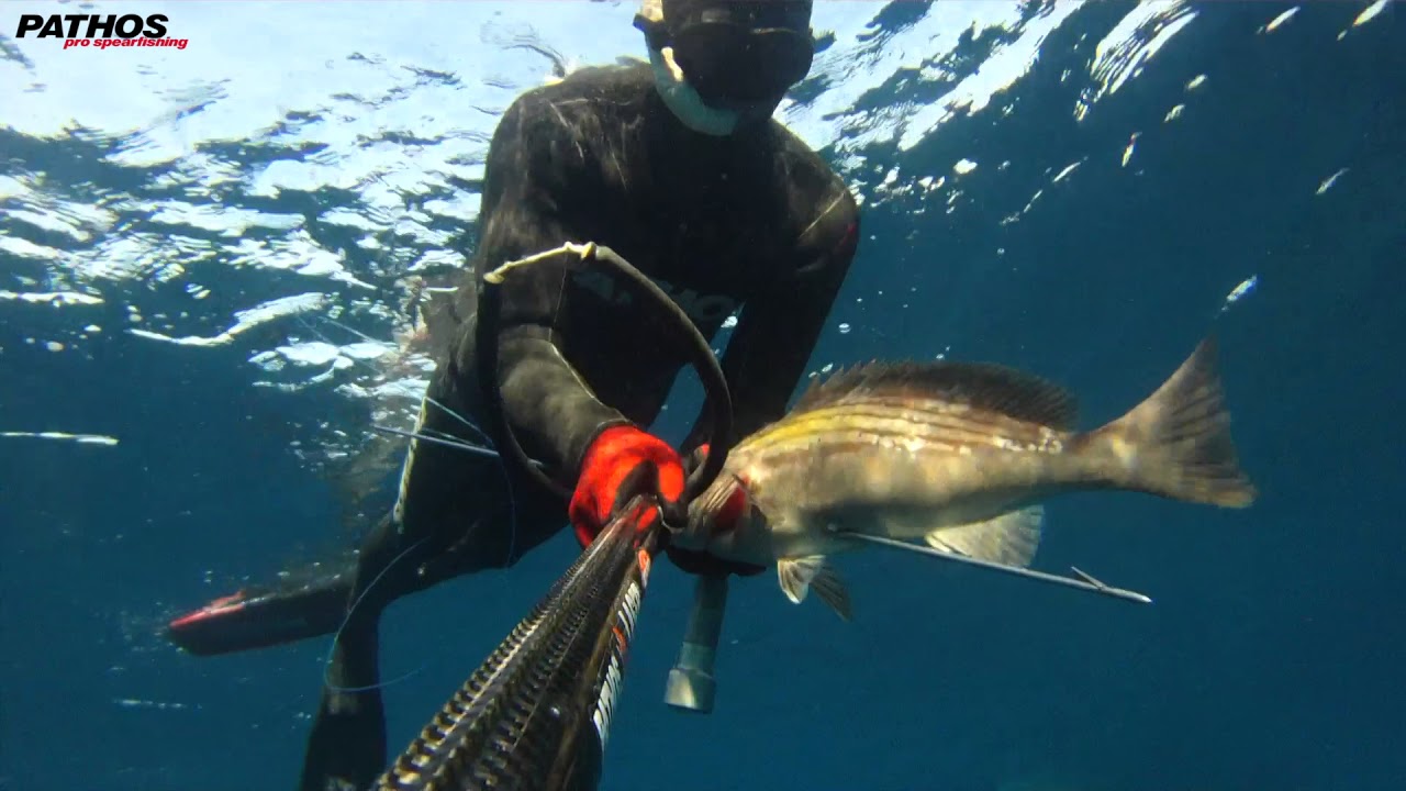 Pathos Team December 2017