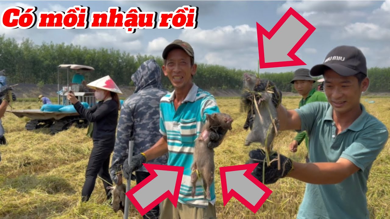 Mùa dí Chuột - Trùm Cuối , 7 Lé nay trúng mánh có mồi nhậu rồi