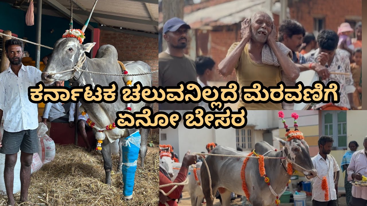 ಏನೇ ಆದ್ರು ಹೋರಿನ ಈ ರೀತಿ ನೋಡೋಕೆ ಬೇಜಾರಾಗುತ್ತೆ 