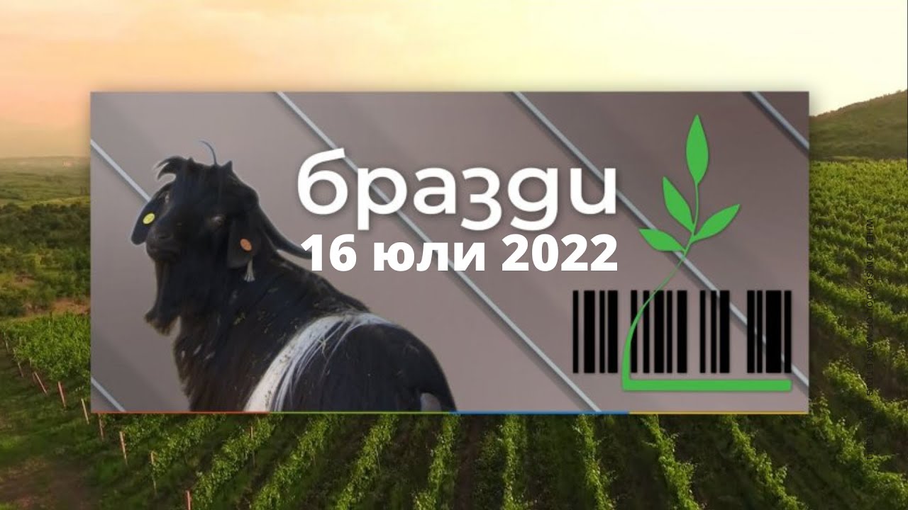 Избрано от 