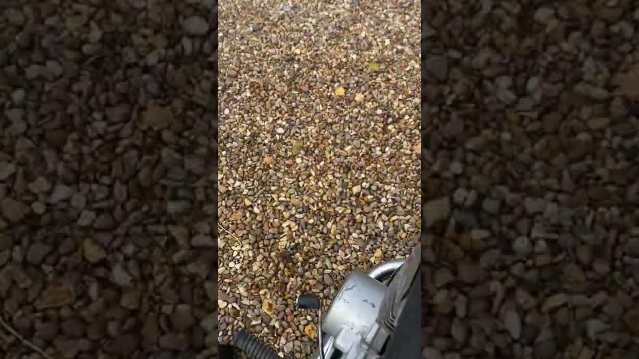 YR1 350 Yamaha