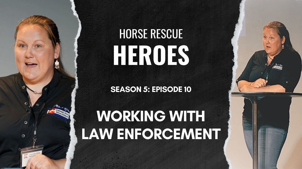 Working with Law Enforcement | Horse Rescue Heroes S5E10