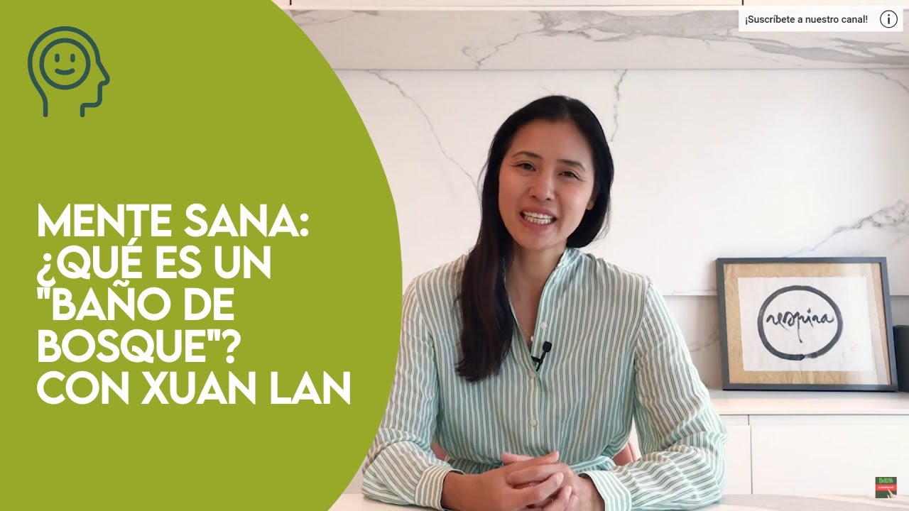 🏕 ¿Qué es un 
