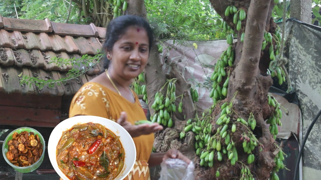 இலங்கை கிராமத்து சமையல் | Jaffna Traditional Bilimbi Curry Recipe | VILLAGE COOKING TV // TAMIL
