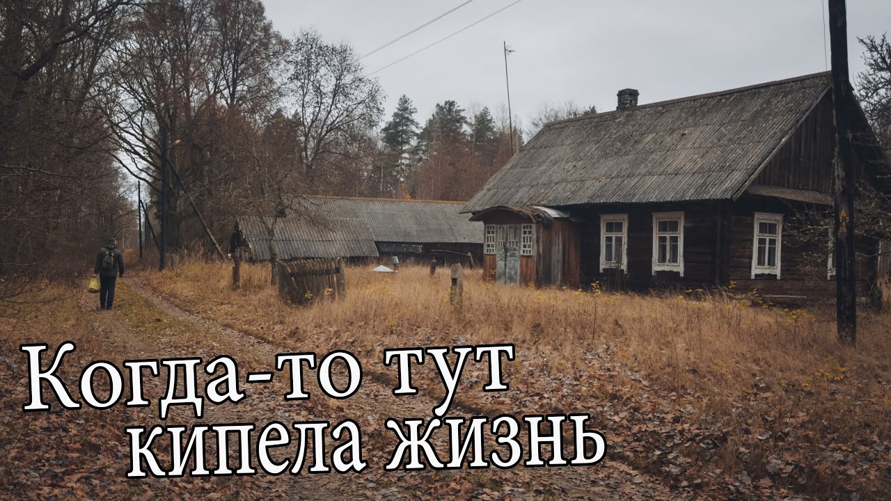 Беларусь . Заброшенная деревня в лесу. Тут можно жить.  Дикий край.  Поход