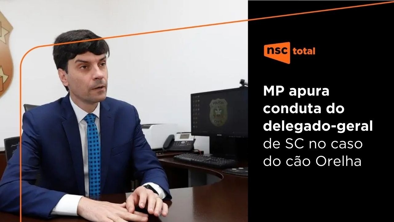 MP investiga conduta do delegado-geral da Polícia Civil no caso do cão Orelha | NSC News