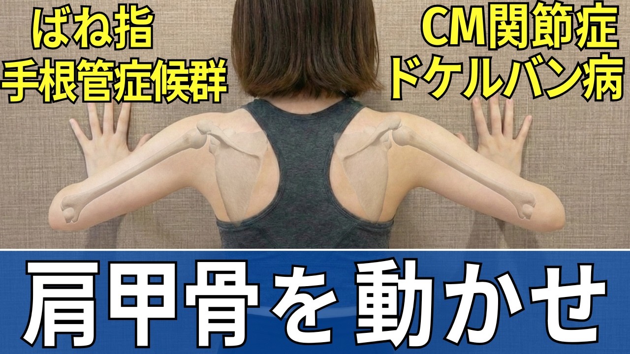 【手根管症候群・CM関節症・ドケルバン病・ばね指の痛み】原因は肩甲骨が動いていないから  |  大阪市都島区 さかとう整骨院#147