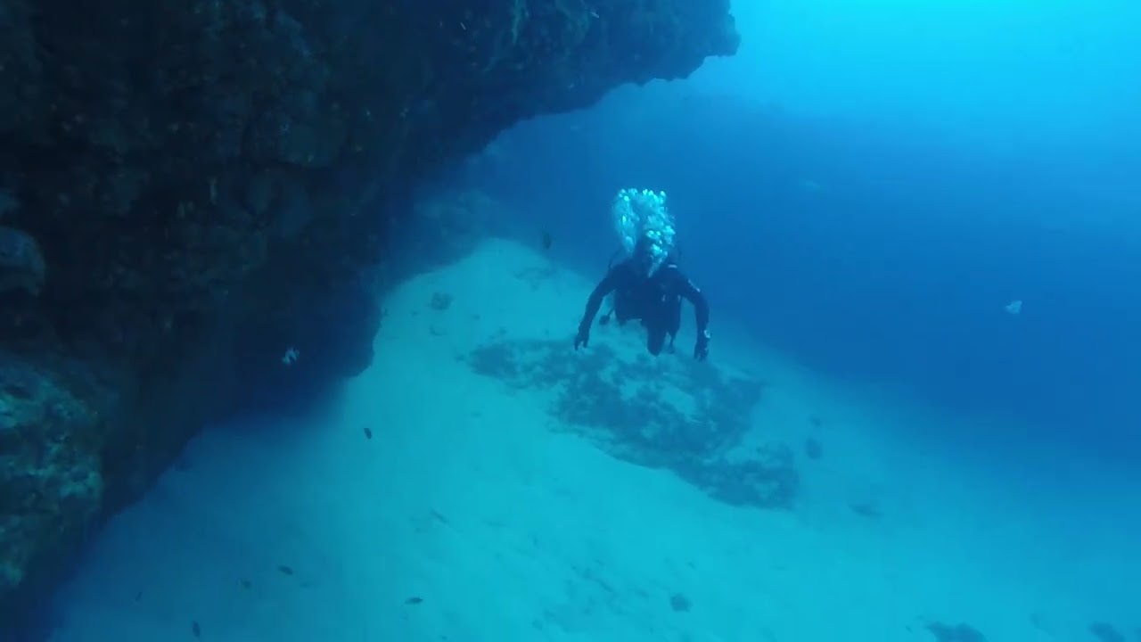 veril de charco del palo