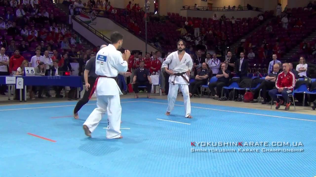 EC 2015, -80 2nd Popovics Tamas (Hungary) - Ilas Marius (Romania)