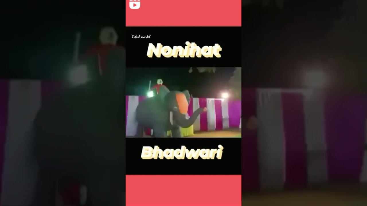nonihat ka sadi #shorts #maraige #trending #nonihat
