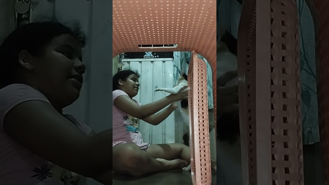 a viagem longa da juriti(parte 4).